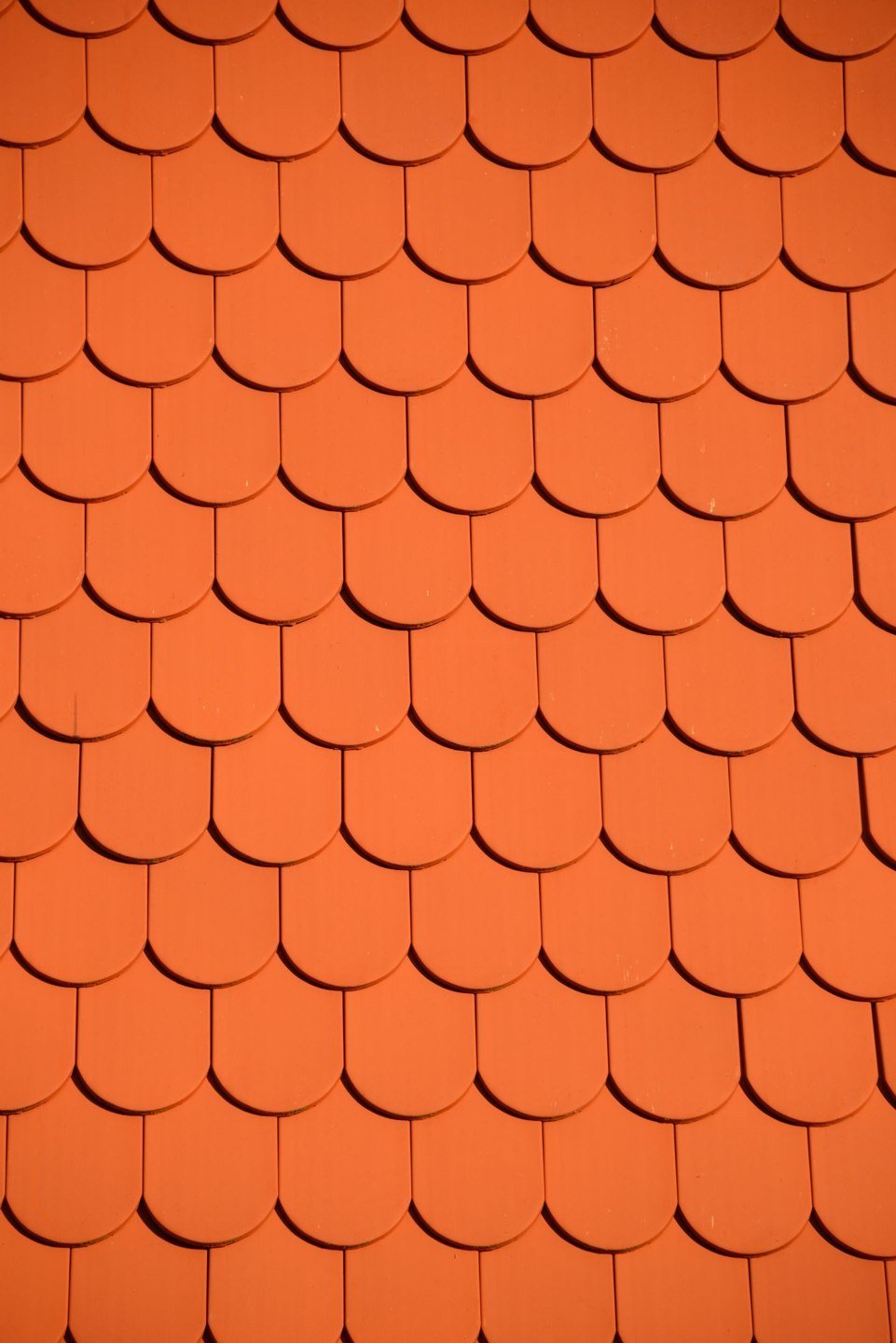 Détail de couverture — photographie d’illustration